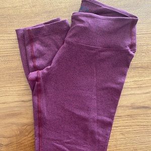 NoBull Project Crops Size Small